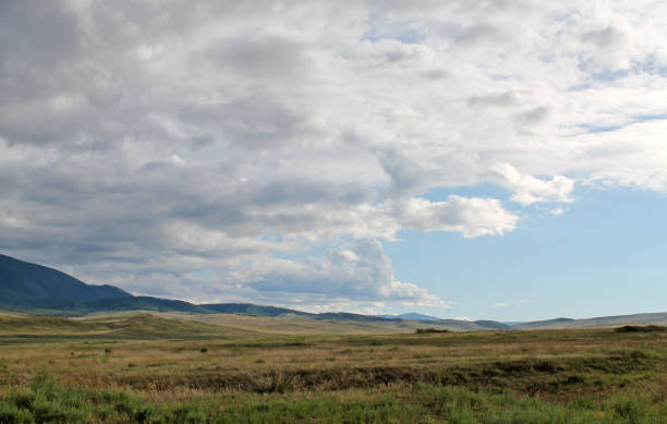 istock Wide steppe with yellow grass under a blue sky with white clouds Sayan mountains Siberia Russia 1137808017