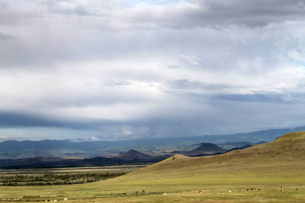istock Wide steppe with yellow grass under a blue sky with white clouds Sayan mountains Siberia Russia 1137809563