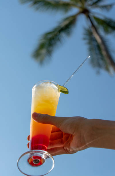 istock Tequila sunrise cocktail back lit against a tropical sky 1137811180