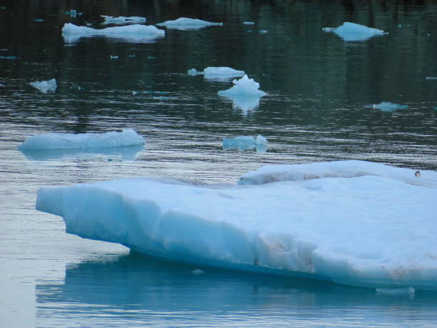 istock Iceland Icebergs and Glaciers 1137812415