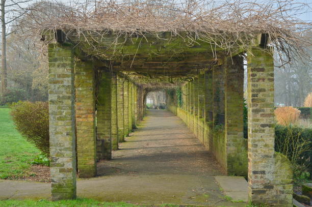 istock pedestrian walkway under vegetated arcades 1137818038