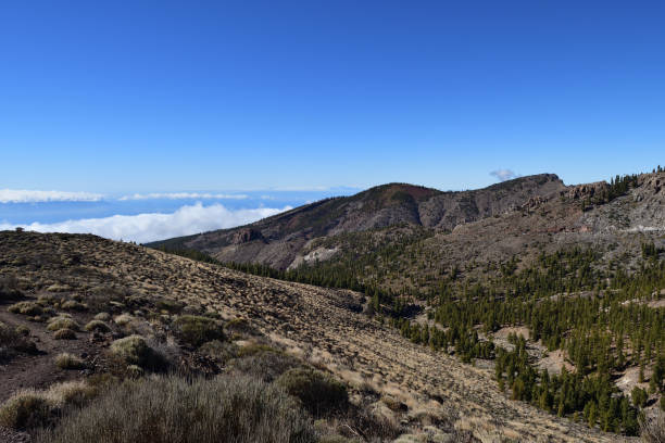 istock Teide national park in Tenerife 1137825227