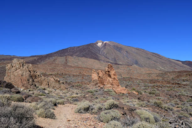 istock Teide national park in Tenerife 1137825273