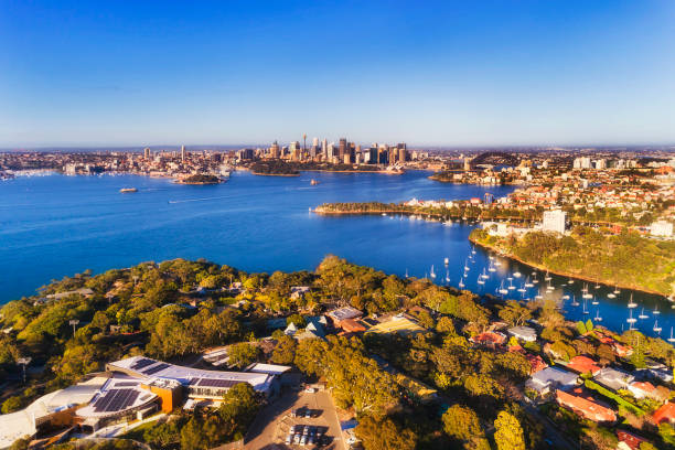 d taronga 2 cbd high - taronga fotografías e imágenes de stock