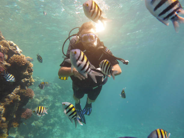 istock Scuba diving Exploring Coral Sea 1137835822