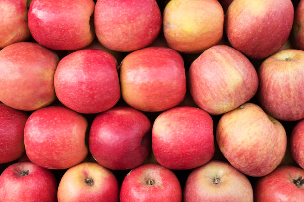 pile of red apples texture background stock photo