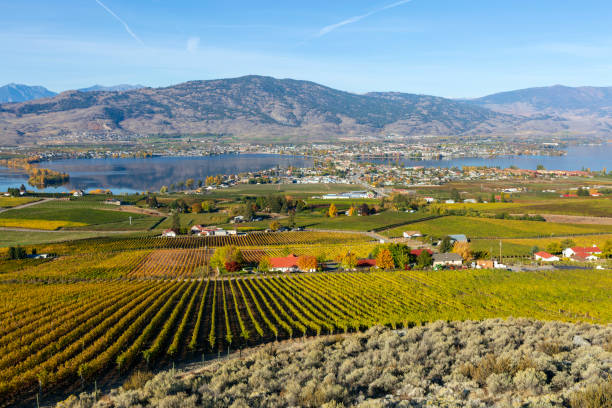 ブリティッシュコロンビア州カナダ - lake canada field okanagan ストックフォトと画像