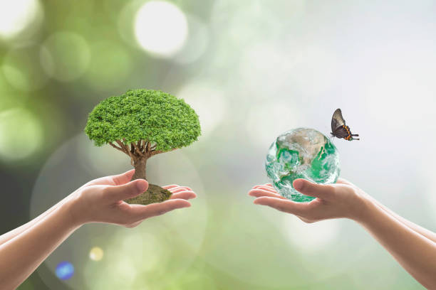 istock Reforestation, sustainable world forest, and tree care day concept: Elements of this image furnished by NASA.https://images.nasa.gov/details-PIA18033.html 1137845379