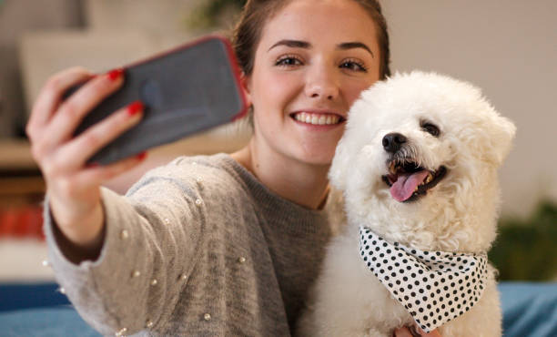 istock Girl taking selfie with her dog 1137846506