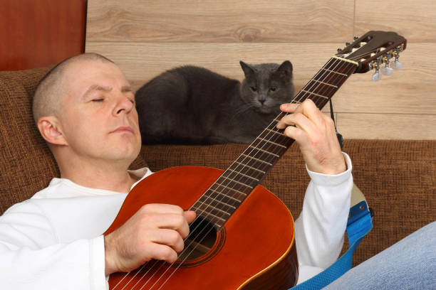 istock the man sitting on the sofa with the cat plays classical guitar 1137847085
