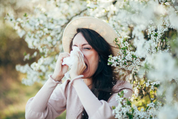 istock It's the season of sneezes 1137848113