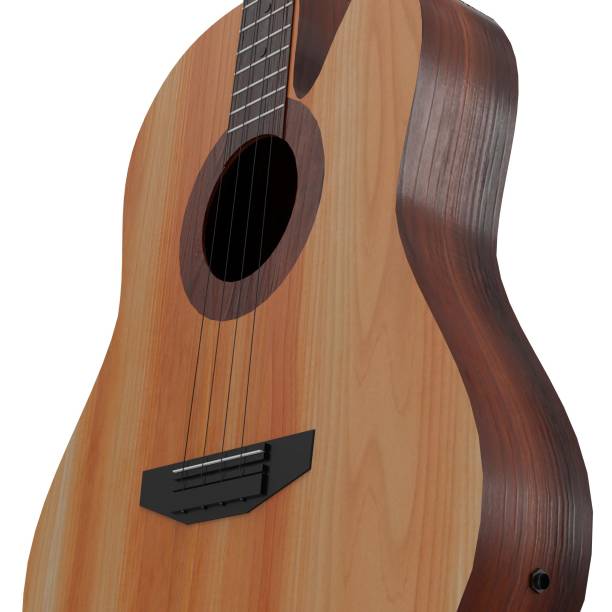 istock Acoustic bass guitar 1137850779