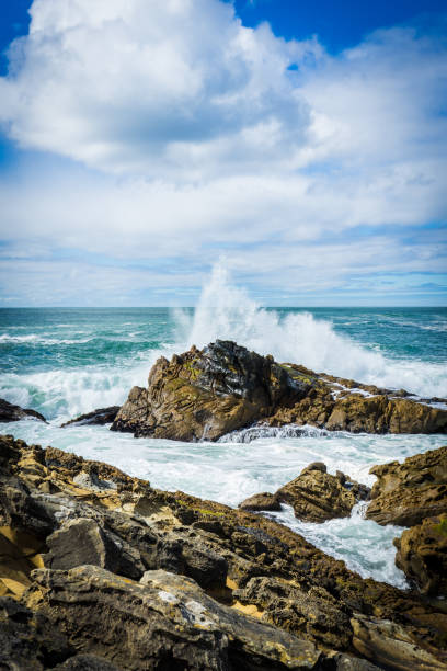 Sonoma State Park, California, USA
