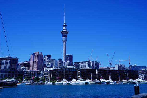 istock Auckland's Sky Tower and Yacht Harbor 1137861390