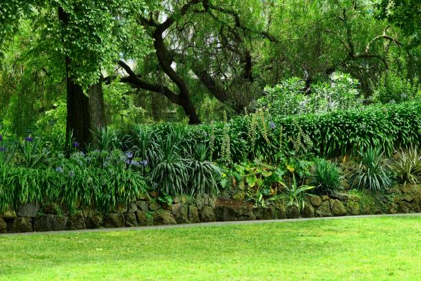 istock Beautiful nature and landscape and flowers 1137861909