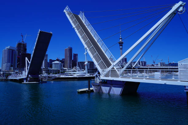 istock Auckland's Sky Tower and Yacht Harbor 1137861989