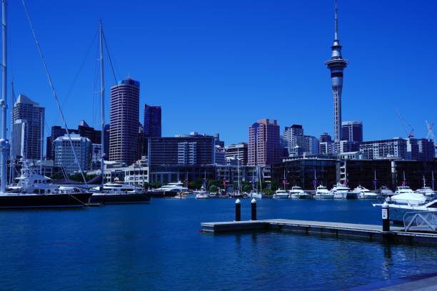 istock Auckland's Sky Tower and Yacht Harbor 1137862068