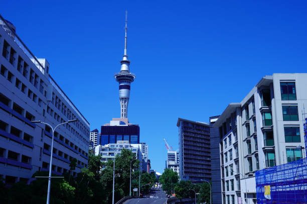 istock Auckland's Sky Tower and Yacht Harbor 1137862150