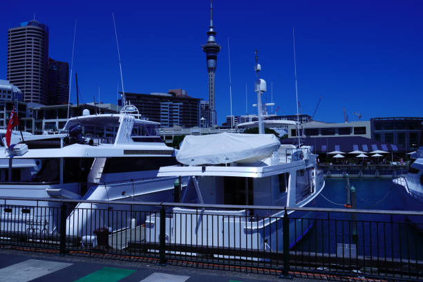 Auckland's Sky Tower and Yacht Harbor