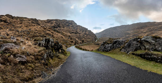 istock Ireland Country Road 1137862181