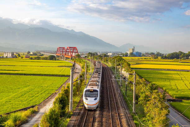 train on the field in yuli, hualien, taiwan