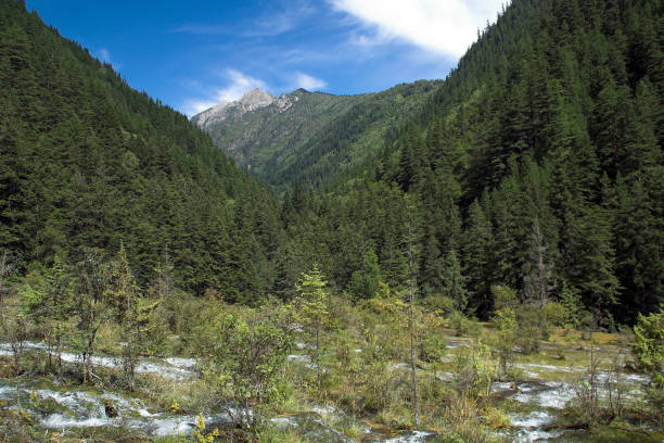istock Shoals with mountain views in background 1137867208