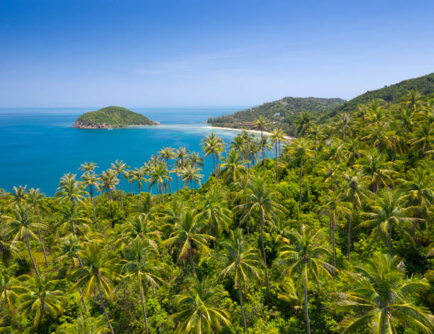 istock Ko Ma, Mae Haad, Koh Phangan, Thailand 1137868683