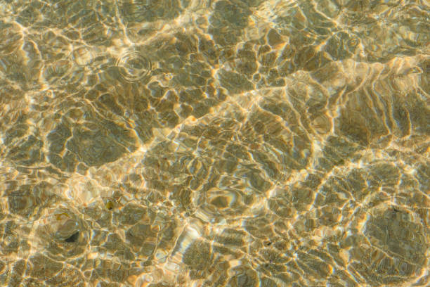 istock Background of the Red sea water surface and sandy bottom 1137875579
