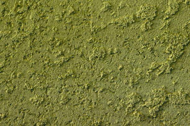 istock abstract old orange travertine texture for use as background. 1137876126