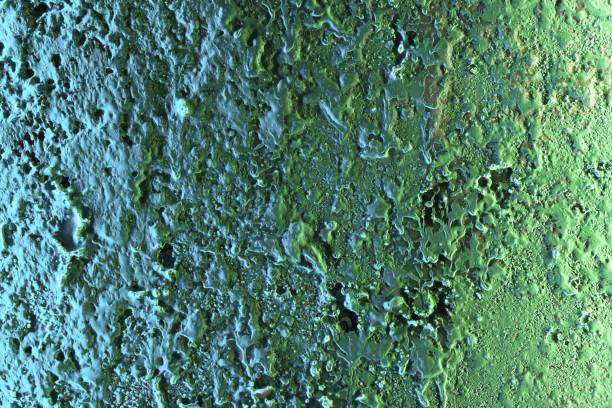 istock holiday style highlighted relief plate texture - fantastic abstract photo background 1137876184