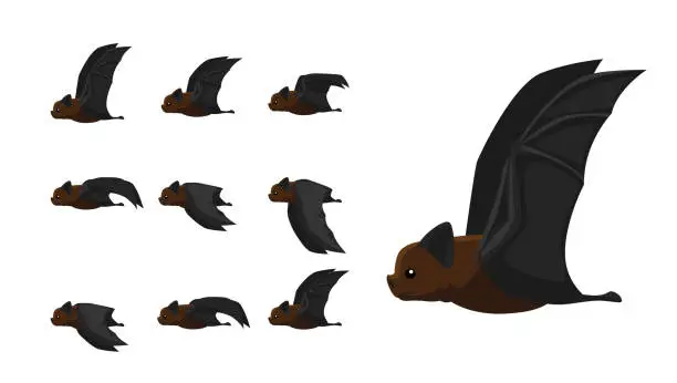 Vector illustration of Bat Flying Motion Sequence Animation Cartoon Vector Illustration