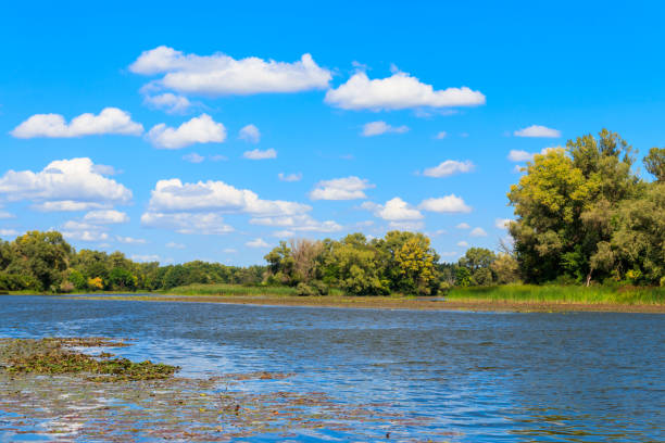 istock Summer landscape with beautiful river, green trees and blue sky 1137885242