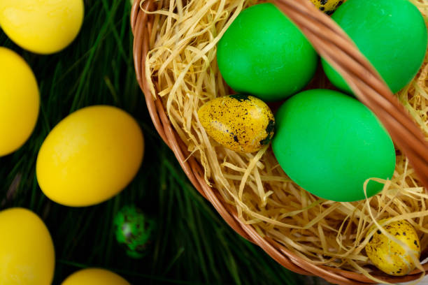Group of colorful hand painted Easter eggs arranged in a basket at the bottom of a green background leaving useful copy space for text and/or logo. High resolution 42Mp studio digital capture taken with Sony A7rII and Sony FE 90mm f2.8 macro G OSS lens