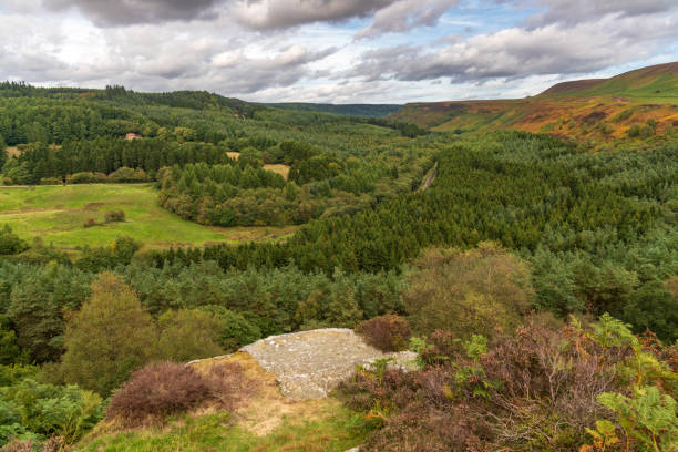 istock Levisham Moor, North Yorkshire, England, UK 1137894145