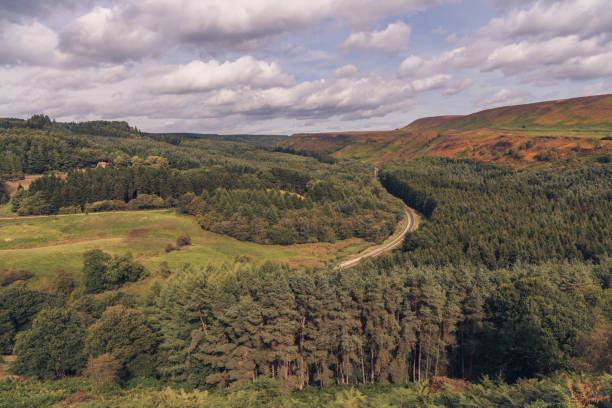 istock North York Moors landscape, England, UK 1137894146