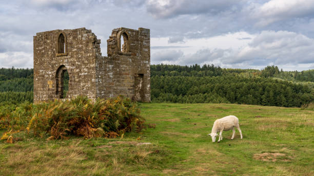 istock Skelton Tower, England, UK 1137894153