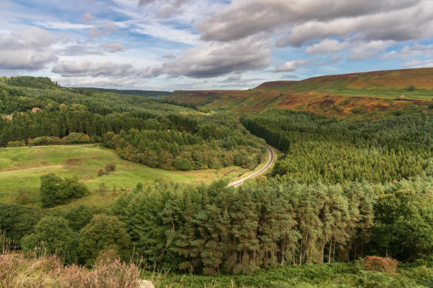istock Levisham Moor, North Yorkshire, England, UK 1137894155