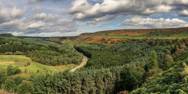 istock North York Moors landscape, England, UK 1137894158