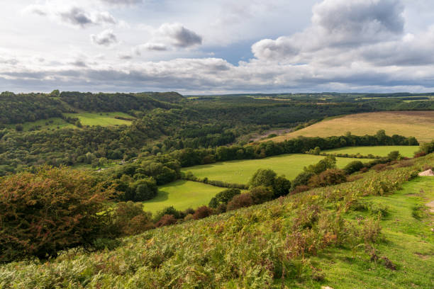 istock Near Levisham, North Yorkshire, England, UK 1137894163