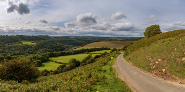 istock Near Levisham, North Yorkshire, England, UK 1137894165