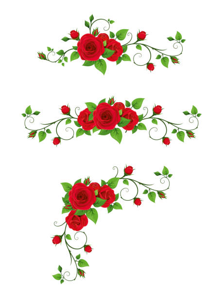 vignetten mit roten rosenreben. vector illustration. - flourishes corner flower floral pattern stock-grafiken, -clipart, -cartoons und -symbole