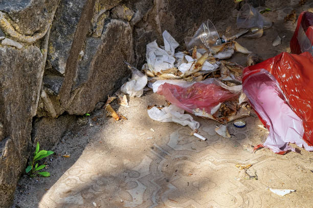 istock Garbage on street. Sprout growing through stone 1137895379
