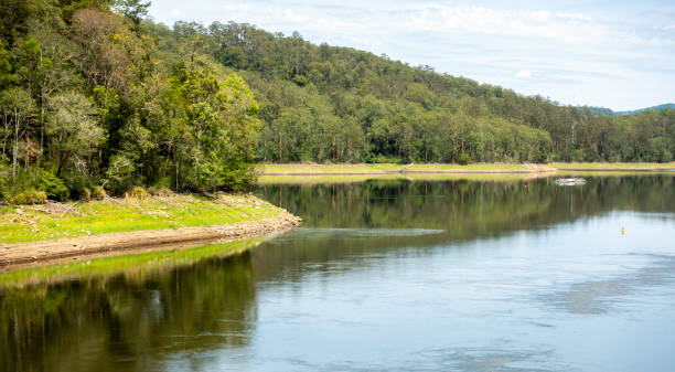 istock River flowing gently by natural woodlands 1137895523