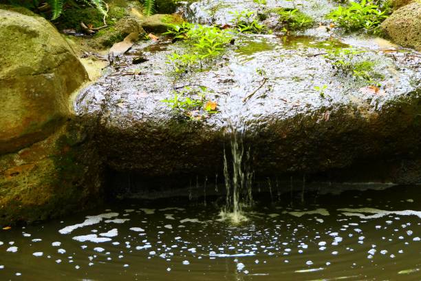 istock Beautiful nature and landscape and flowers 1137896368