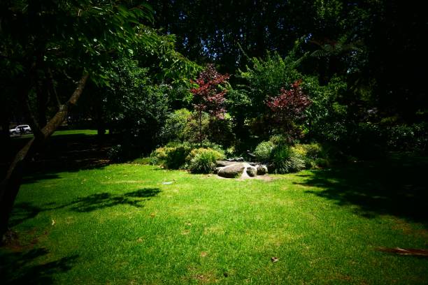 istock Beautiful nature and landscape and flowers 1137896743