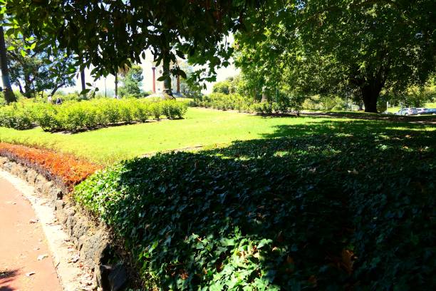 istock Beautiful nature and landscape and flowers 1137900521