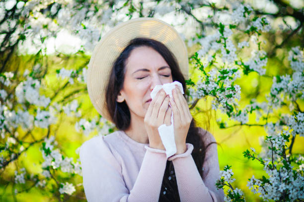 istock It's the season of sneezes 1137900556