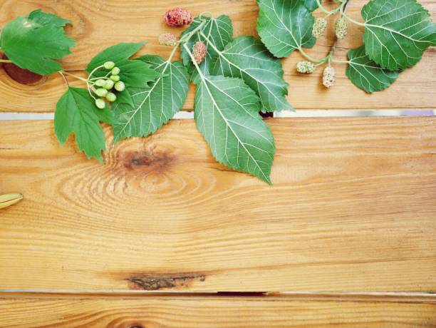 A branch with green berries and leaves on a wooden textural table, top view