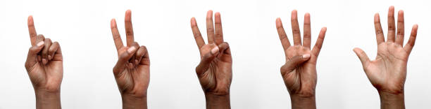 Isolated Black African hand counting on fingers Black female African hands displaying number gestures in front of a white background counting stock pictures, royalty-free photos & images