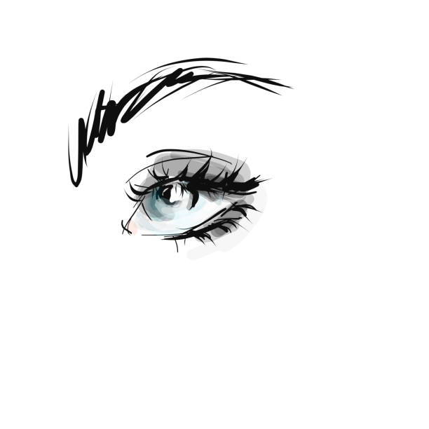 hand gezeichnet schöne frau auge mit langen wimpern - painted eyes stock-grafiken, -clipart, -cartoons und -symbole